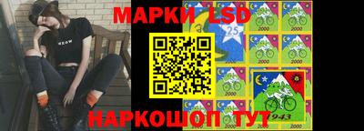 индика Краснознаменск