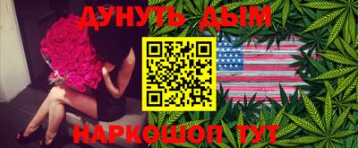 индика Краснознаменск