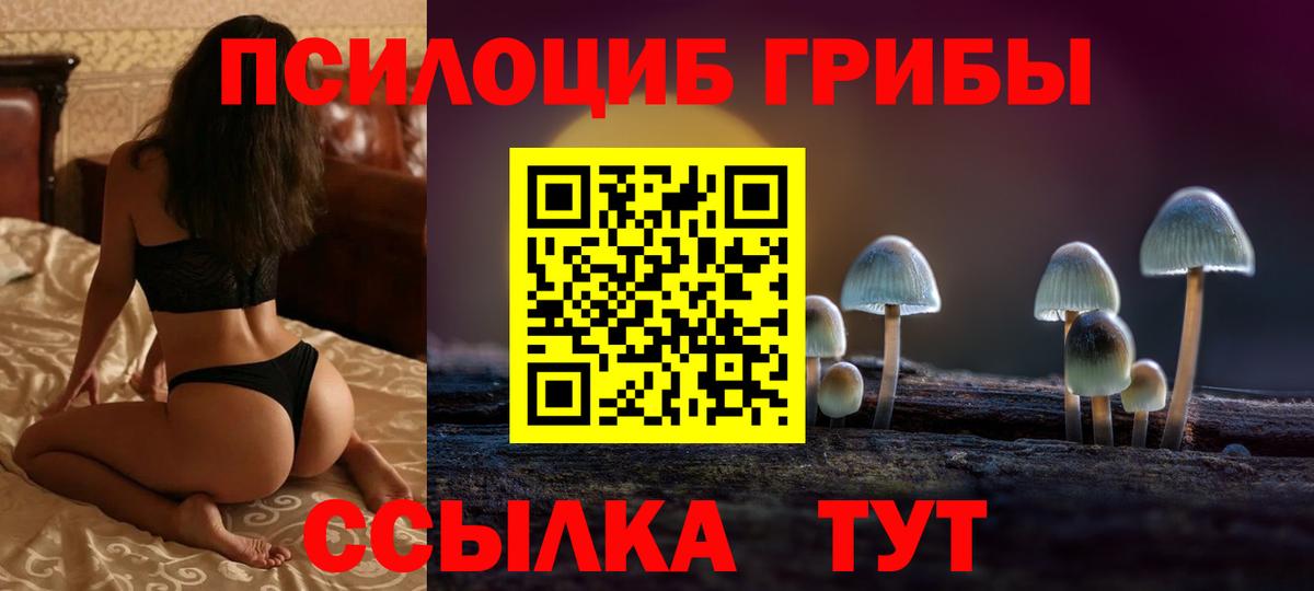 Псилоцибиновые грибы Psilocybe  Вход с VPN  Королёв 
